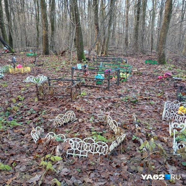 Источник: Анастасия Фокина / YA62.RU