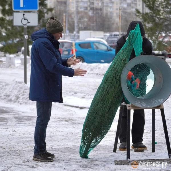 Источник: Павел Даиси / FONTANKA.RU