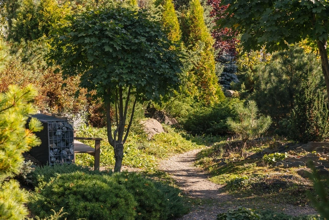 Ландшафтный парк «Сияние» | Источник: Инна Кузнецова