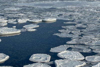 Car carrier stranded at sea after leaving Vladivostok for South Korea