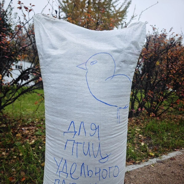 Активисты Удельного парка купили первый мешок семечек для птиц | Источник: Антон Кубышкин