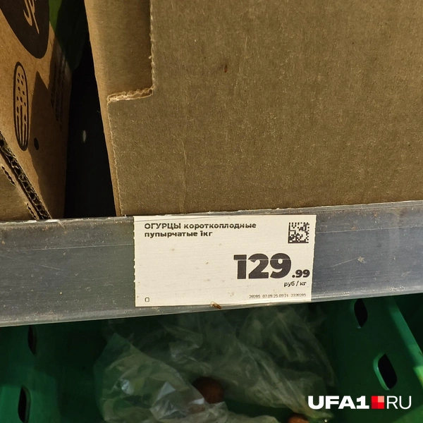 Источник: Булат Салихов / UFA1.RU