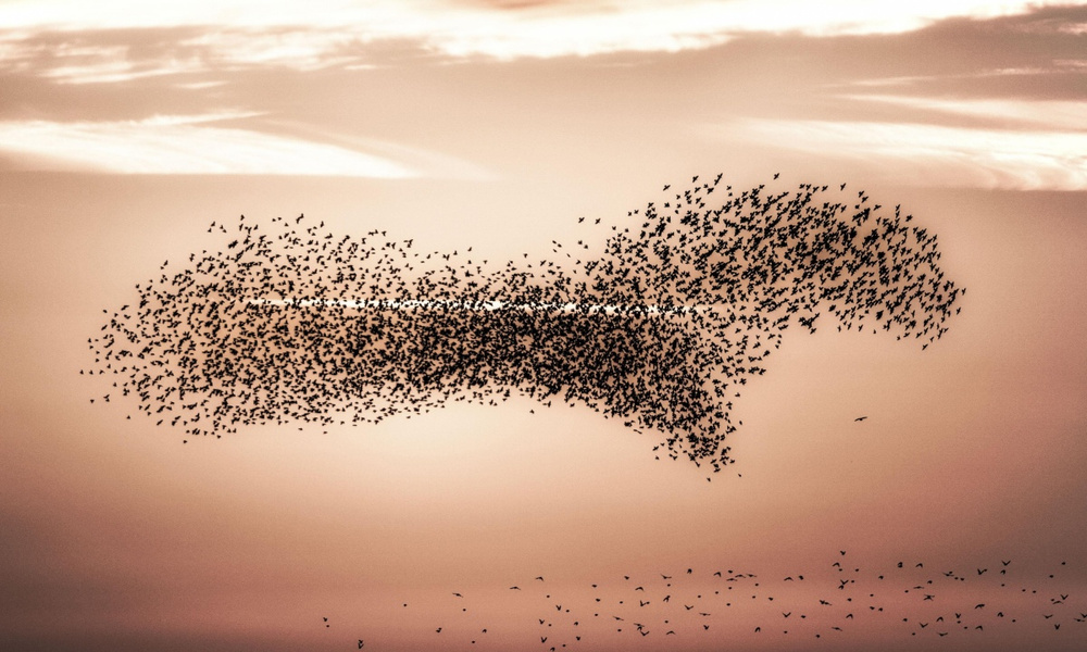 Рисунок в небе | Публикации | Вокруг Света