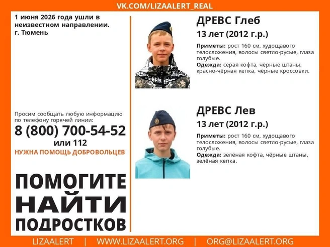 Источник: Поисковый отряд «ЛизаАлерт» Тюменской области