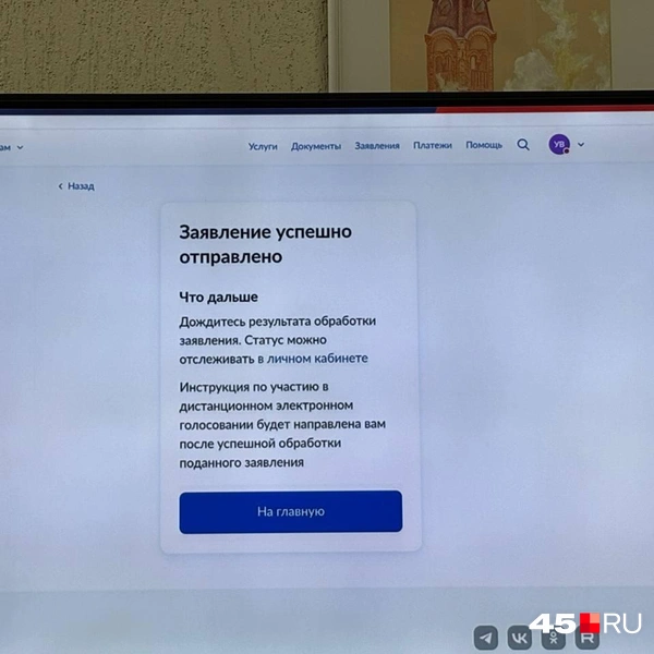 И всё, заявление на дистанционное электронное голосование подано | Источник: Кирилл Митин /45.ru