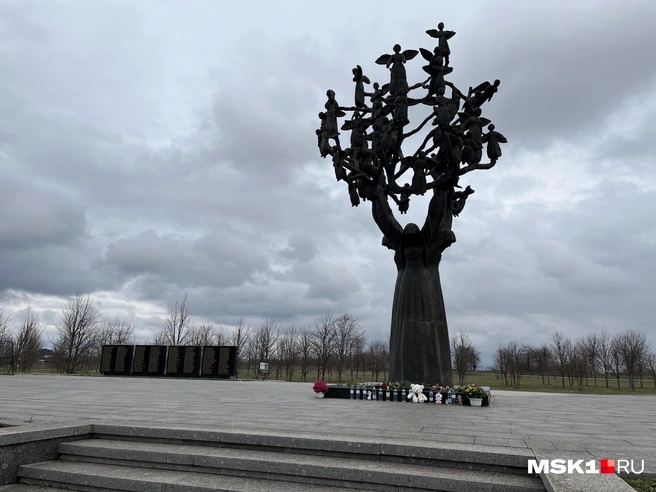 Источник: Виктория Чулюкина / MSK