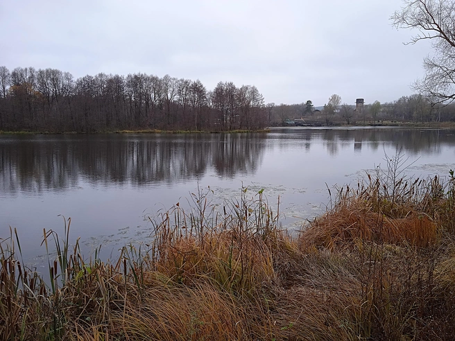 В начале рабочей недели в Ульяновске сохранится относительное тепло | Источник: Дмитрий Сильнов / 173. RU