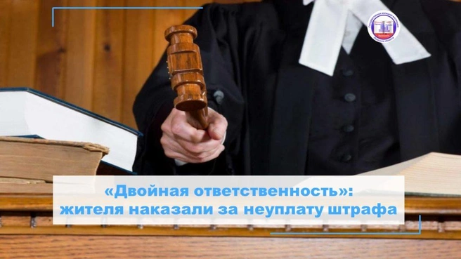 Житель Ельца наказан за неуплату штрафа | Источник: ggilipetsk.ru