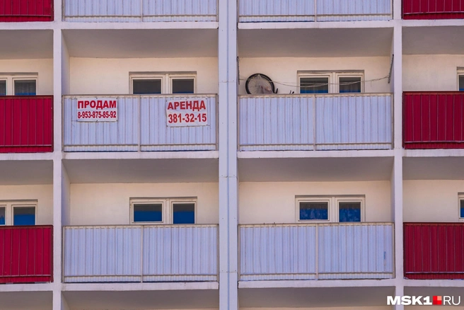 Тараканы — бич московских квартир | Источник: Ольга Бурлакова / NGS.RU