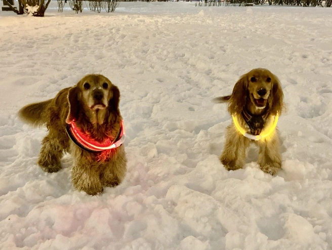 Источник: «Фонтанка.ру»