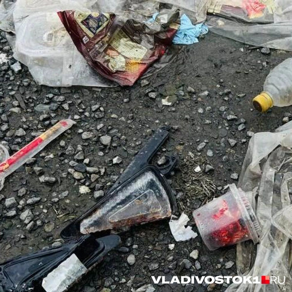 Источник: Елена Буйвол / VLADIVOSTOK1.RU