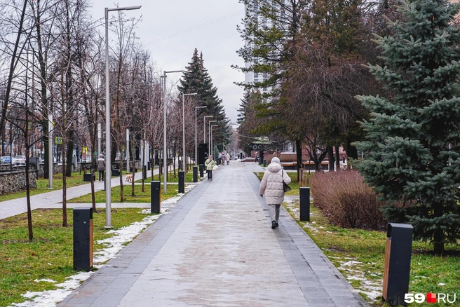 На бульваре Советской Армии зеленеет трава | Источник: Тимофей Калмаков / 59.RU