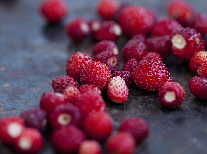 Лето на столе: 6 рецептов из сезонных ягод