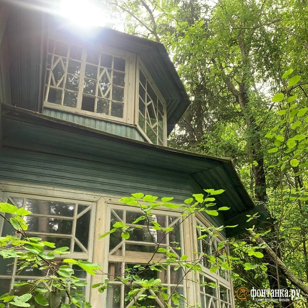 Источник: читатель «Фонтанки»