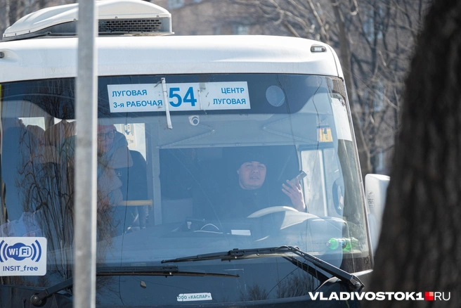 Источник: Елена Буйвол / VLADIVOSTOK1.RU