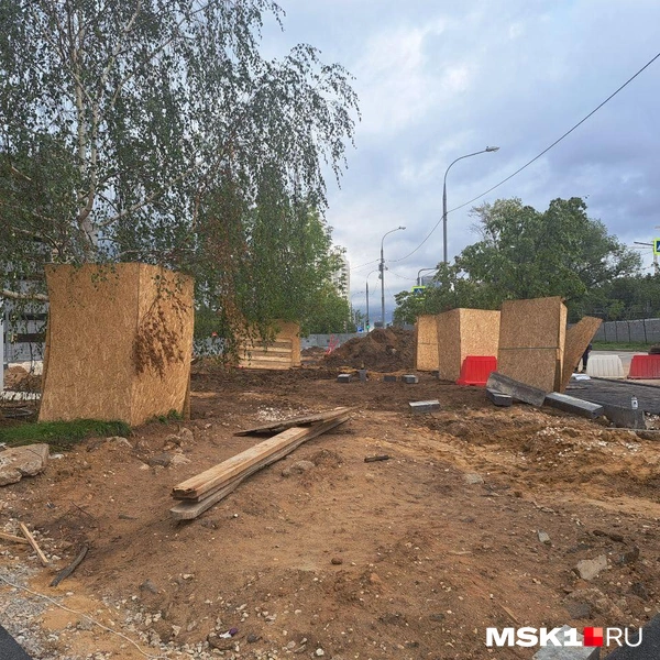 Рабочие оградили липы коробами, но повредили им корни | Источник: Арина Майорова / MSK1.RU