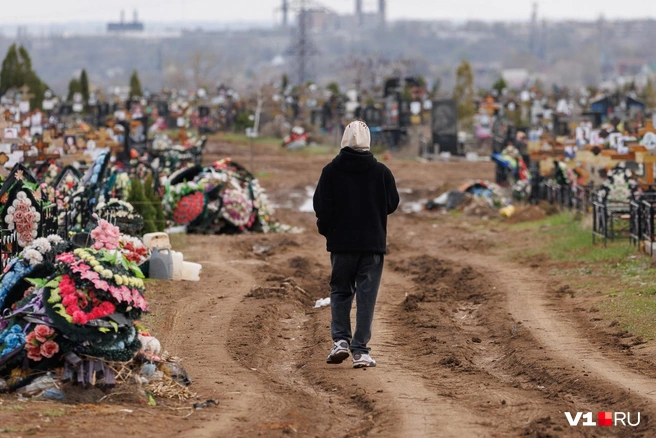 Спецрейсы к городским кладбищам будут работать два дня — 20 и 27 апреля | Источник: Алексей Волхонский / V1.RU
