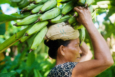Эквадор: банановый рай