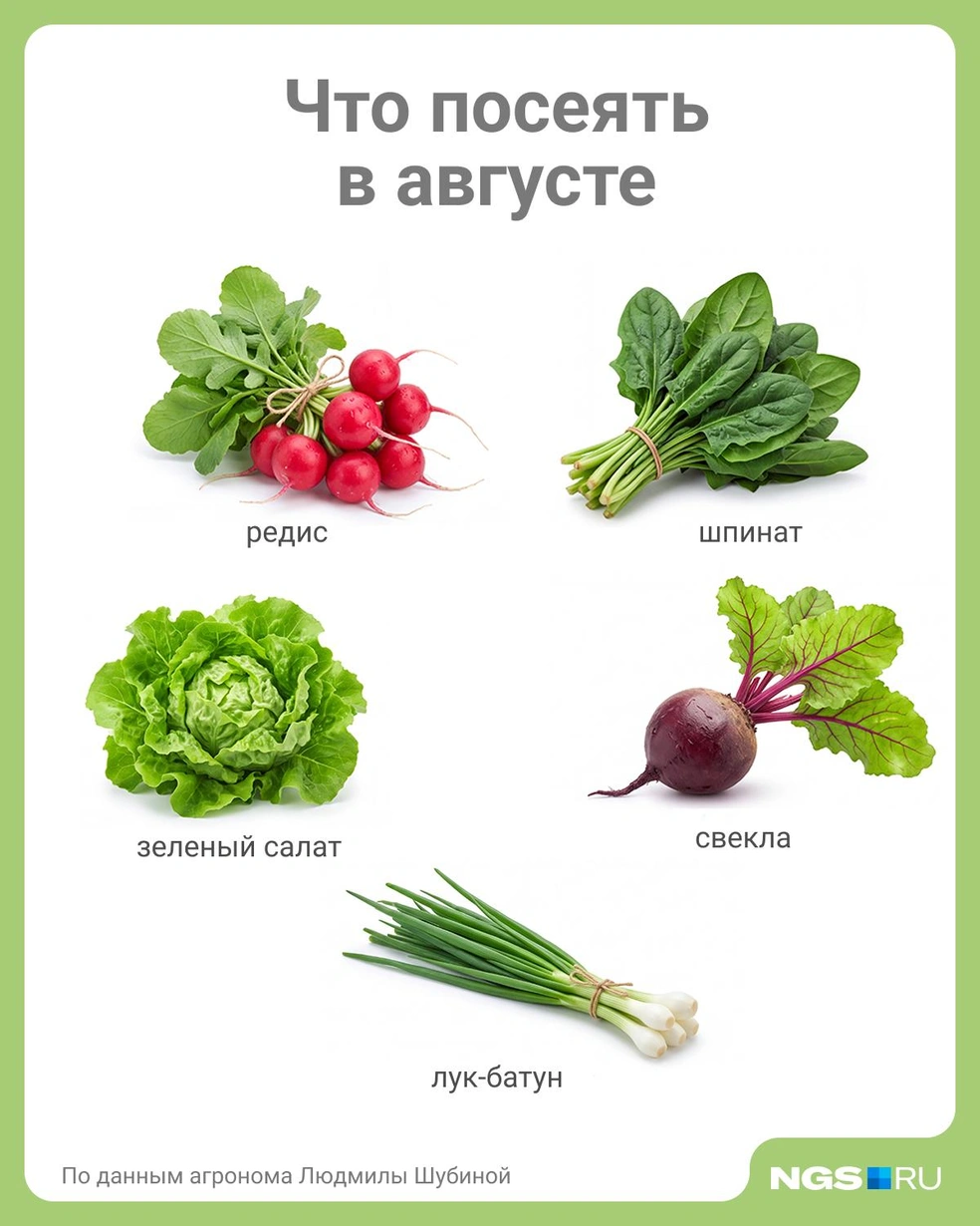 Источник: Юрий Орлов / Городские медиа