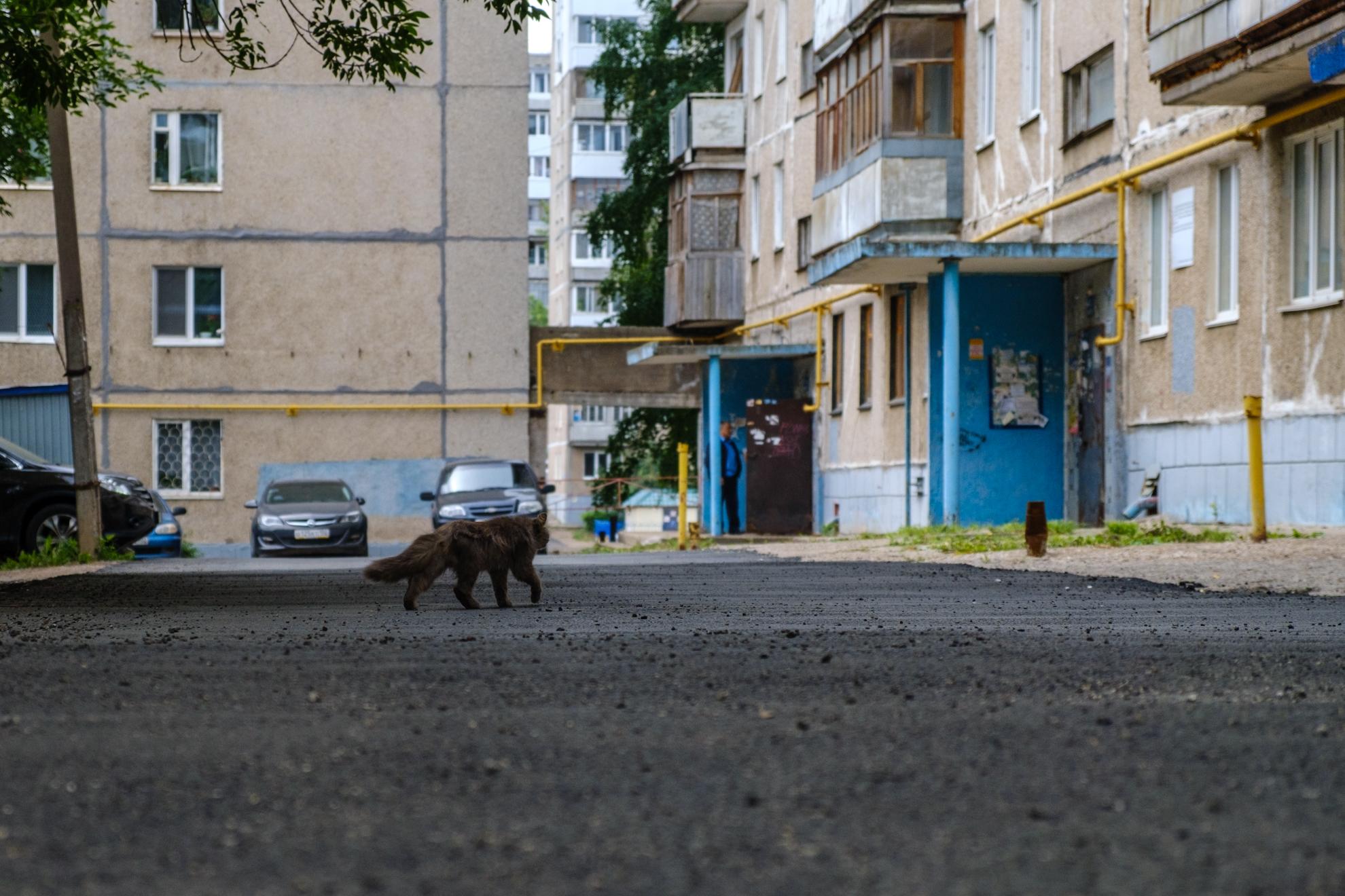 Парковку в Уфе, за которую платили жители двора, признали общественной - 2  августа 2023 - УФА1.ру