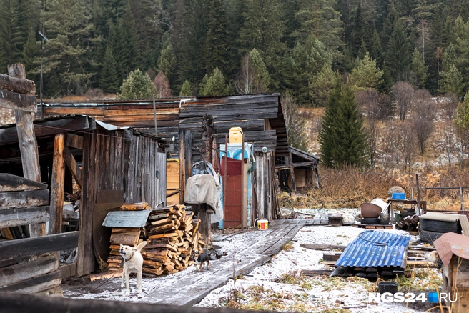 Баня для жилья | Источник: Мария Ленц / NGS24.RU