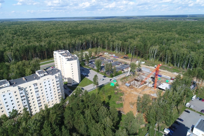 Возле проекта смешанный лес, где будет куда приятнее гулять с ребенком, чем вдоль пыльных улиц мегаполиса | Источник: ООО СЗ «ЖК Шишкин»