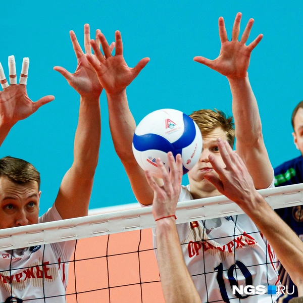 Источник: Андрей Бортко / NGS.RU