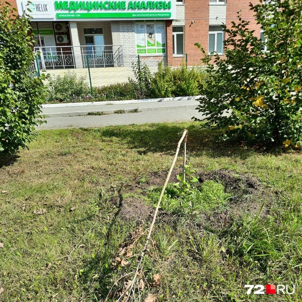Источник: Читательница 72.RU