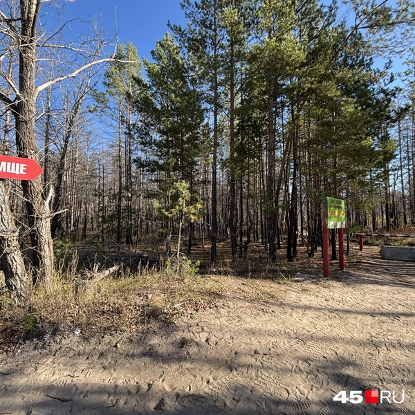 Источник: Кирилл Митин