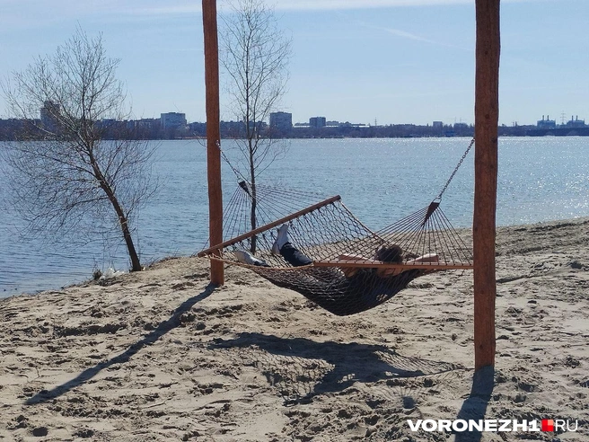 Источник: Дмитрий Волгин / Voronezh1.ru