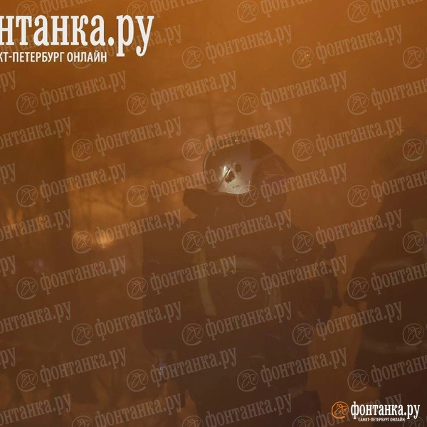 Источник: Дарья Драй / «Фонтанка.ру»