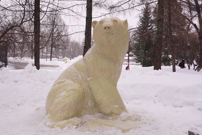 В Москве открыли памятник медведю Диксону