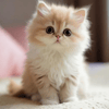 userpic__Марина Борисова