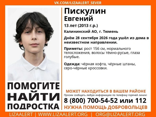 Источник: Поисковый отряд «ЛизаАлерт» Тюменской области / Vk.com