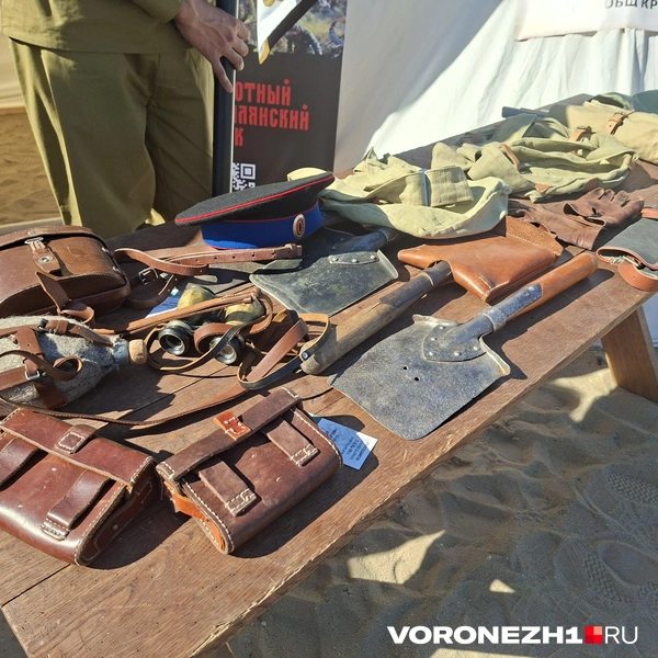 Источник: Алёна Воропаева / Voronezh1.ru