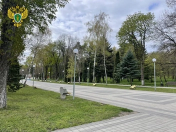 Осматривали растения, когда на них еще не было листвы | Источник: Прокуратура Ставропольского края / Max