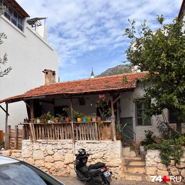 Источник: Наталия Колмогорова