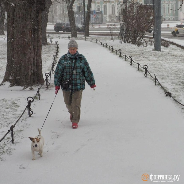 Птицы не согласны. Большой фоторепортаж про зиму в апреле | Источник: Михаил Огнев / «Фонтанка.ру»