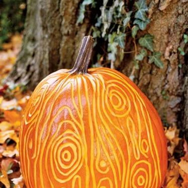 Источник: Стивен Рандаццо