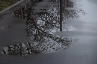 Прогноз погоды в Алтайском крае на 4 января