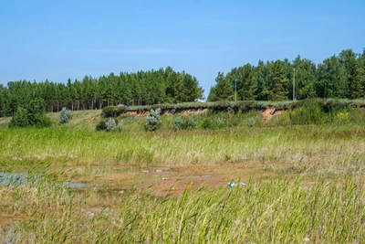 Судебный спор за отчёт об обмелении Аслыкуля