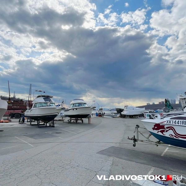 Источник: Елена Буйвол / VLADIVOSTOK1.RU
