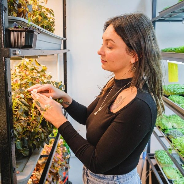 Над каждой полкой есть свет | Источник: Тимофей Калмаков / 59.RU