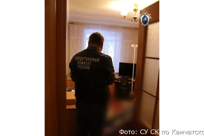 Жительницу Ключей обвиняют в убийстве сковородой