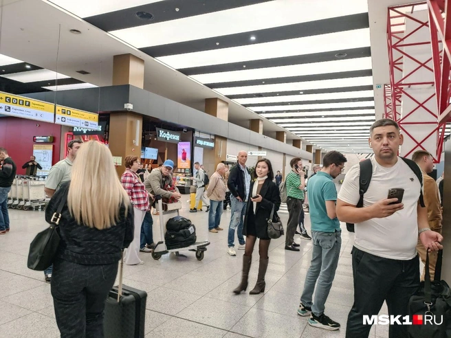 Источник: Анастасия Харитонова / MSK1.RU