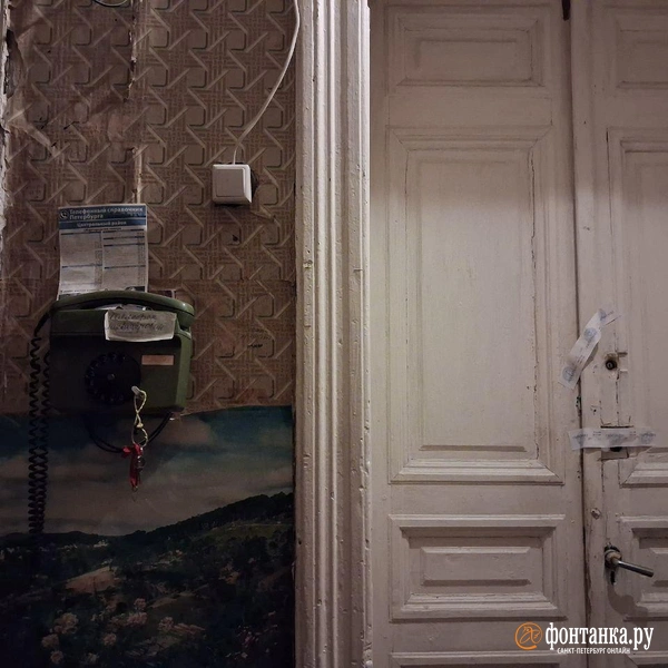 Источник: Анна Мотовилова / «Фонтанка.ру»