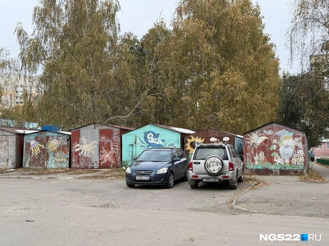 Источник: Полина Шевчукова / NGS22.RU