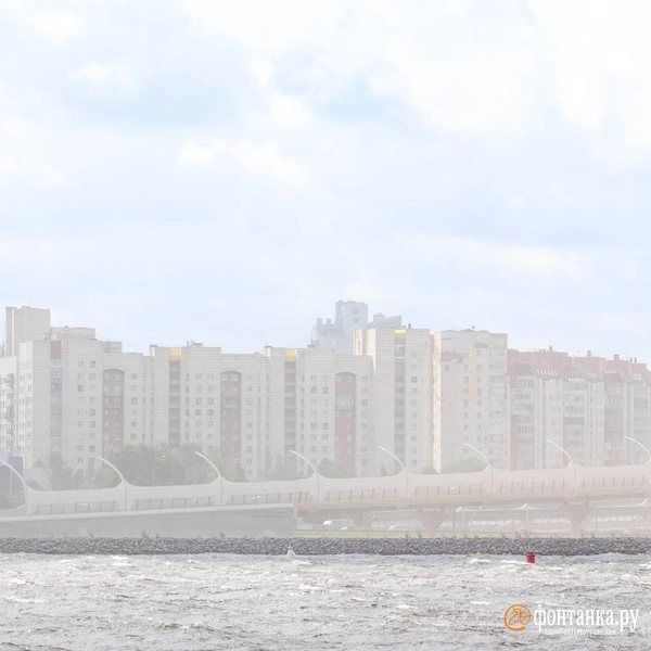 Источник: Сергей Михайличенко / «Фонтанка.ру»