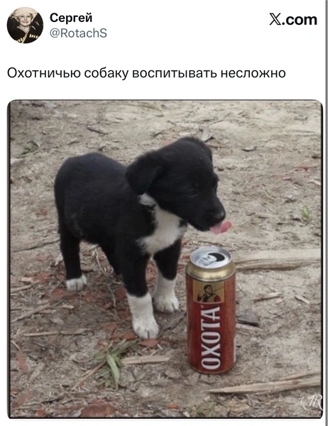 Источник: X (Twitter)