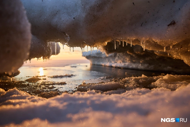 Источник: Александр Ощепков / NGS.RU